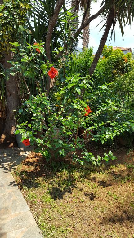 Villa Onar A Stone House With Amazing View สตูปา ภายนอก รูปภาพ
